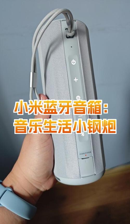 小米蓝牙音响声音小就没输出