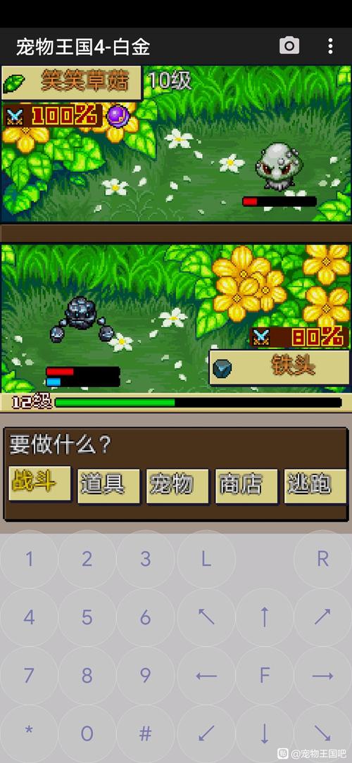 宠物王国4-白金