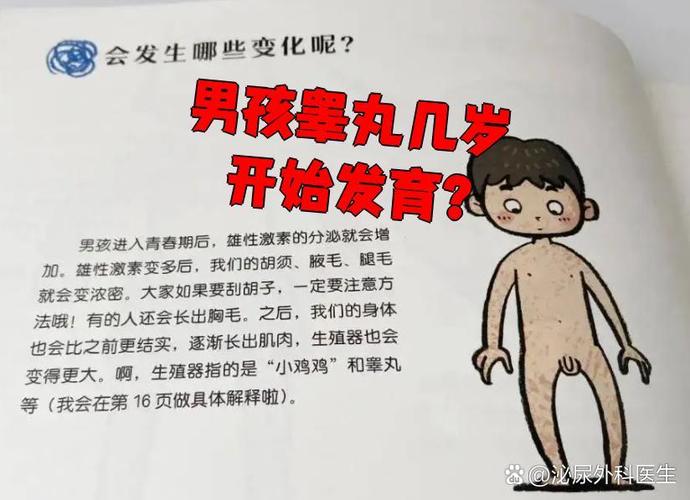 十四岁男生检查蛋蛋经历