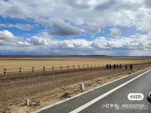 驯服海浪蟹的方法