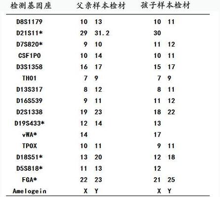爸爸跟女儿可以做亲子鉴定吗
