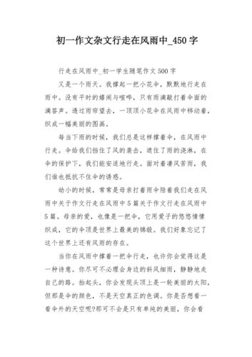 《行走在雨中》作文