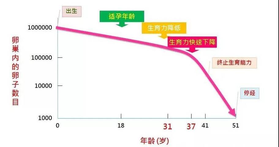 最适合生育的年龄