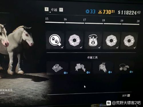 荒野大镖客2ol马刷