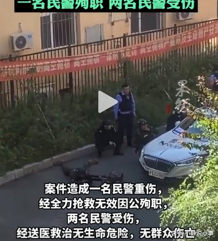袭警可以当场击毙吗