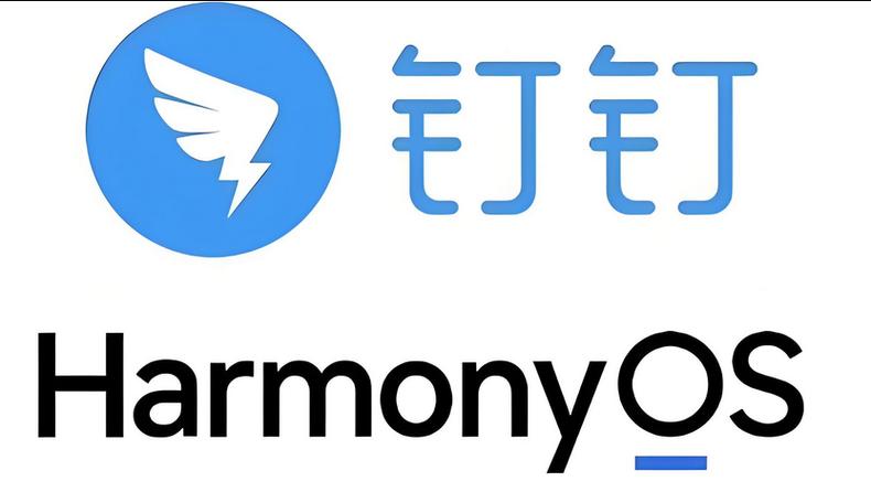钉钉所在企业是什么意思