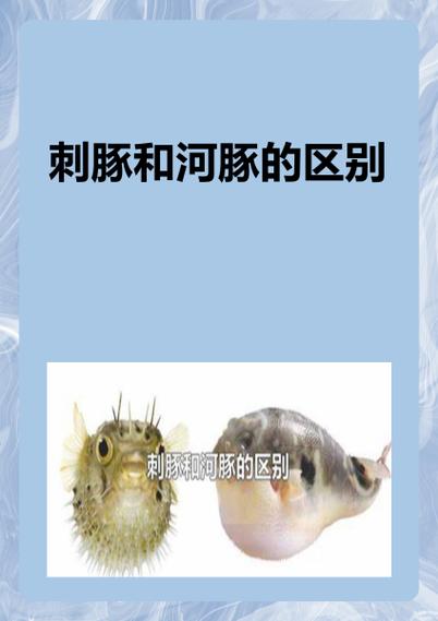 刺豚和河豚的区别