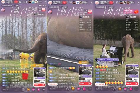 大象新闻客户端上线直播