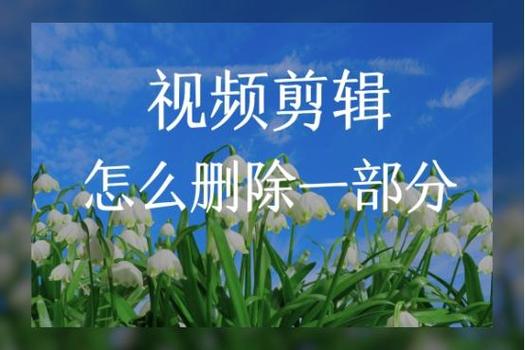 视频怎么删除一些片段