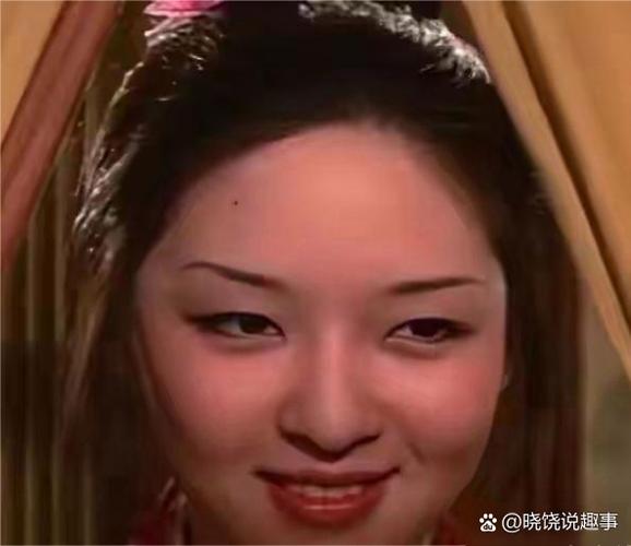 换脸软件软件软件介绍