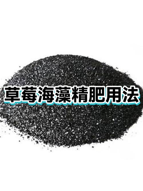 海藻精钾肥料的作用与用途