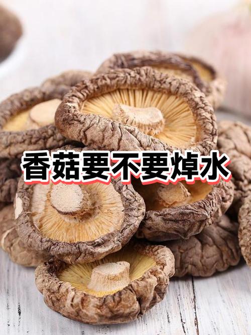 哪些菌菇类需要焯水