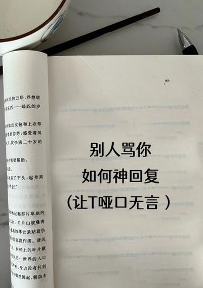 霸气回复骂你的人