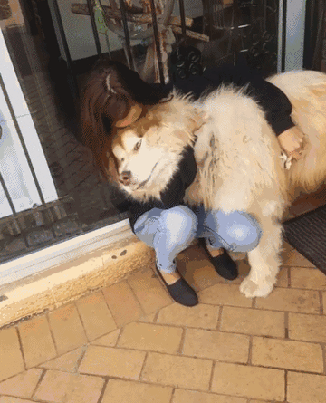 女生叫男生小狗是什么意思