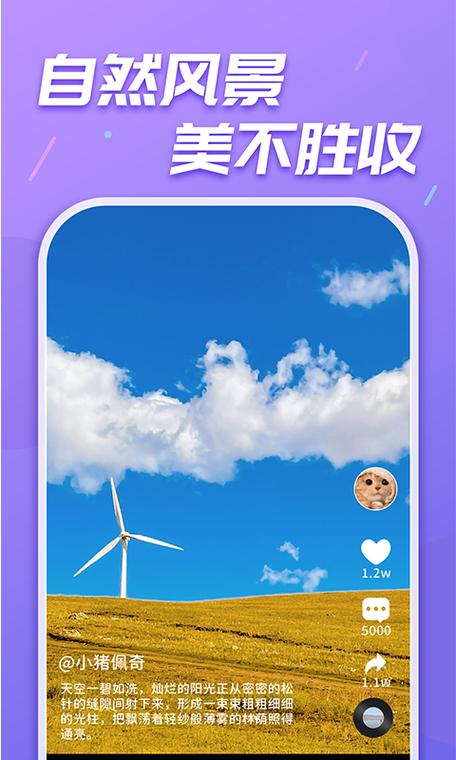 刷刷乐app下载