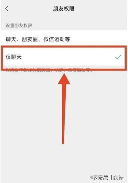 仅聊天设置步骤