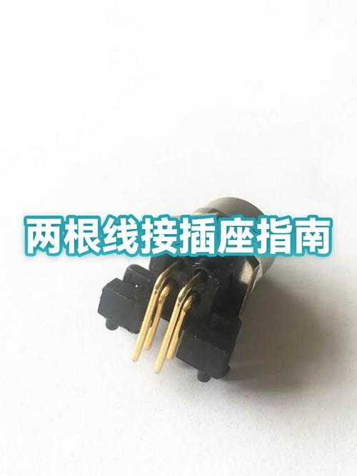 接线两根线怎么接插座