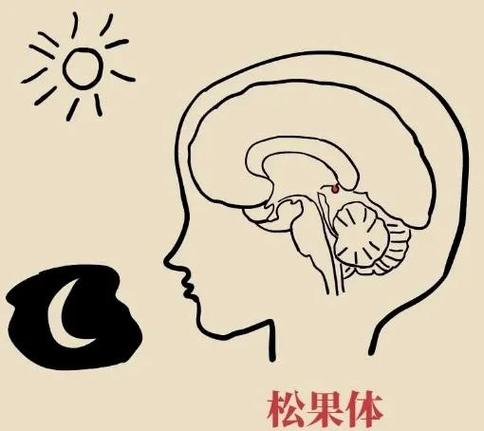 为什么小天才z11无法监测睡眠质量