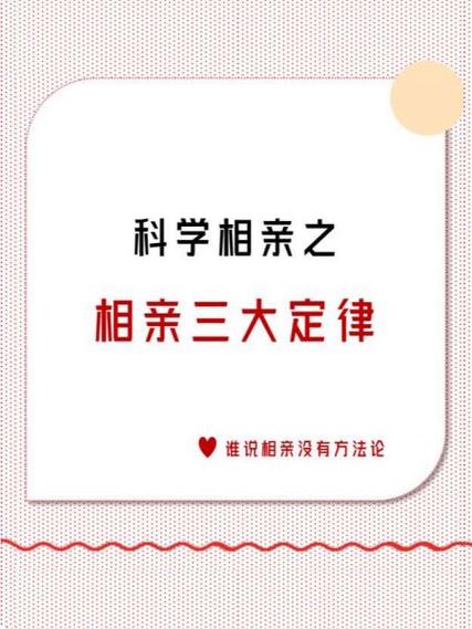 中国式相亲电视剧芒果