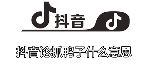 抓鸭子的意思