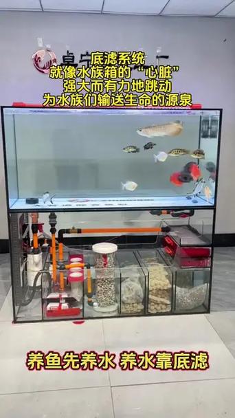 底滤鱼缸下水管轰隆轰隆声