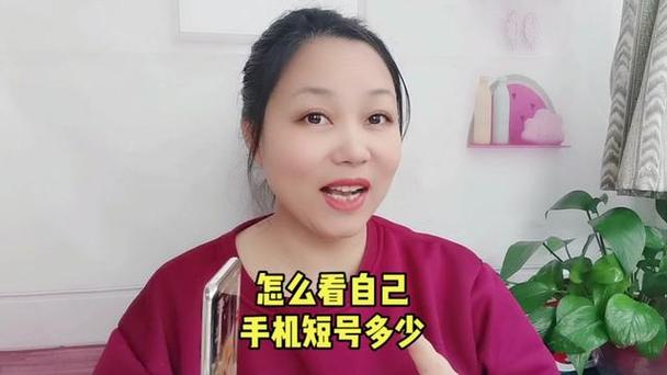 移动手机小号查大号