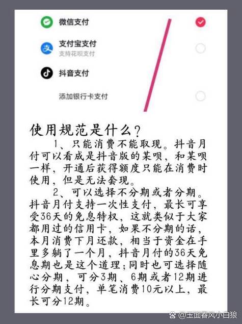支付宝付款能用抖音月付吗