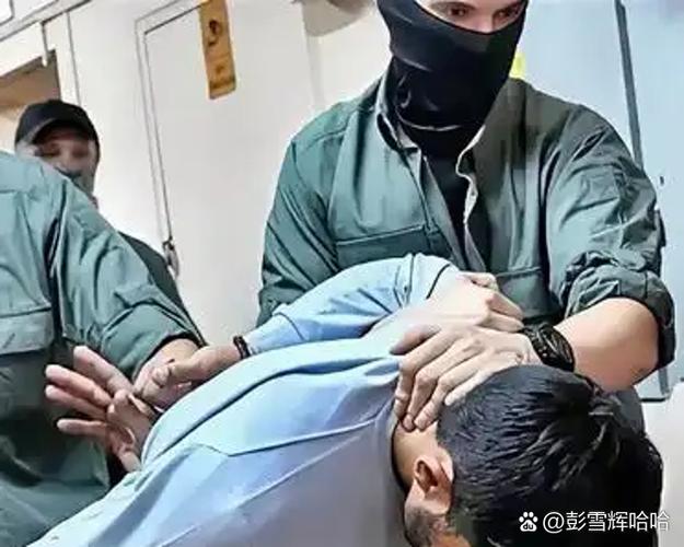 叛徒1-40集免费