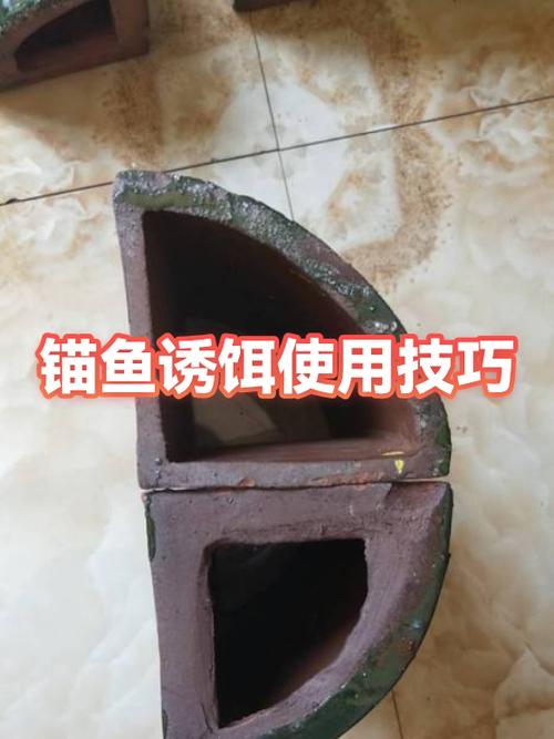 一天中锚鱼最佳时间