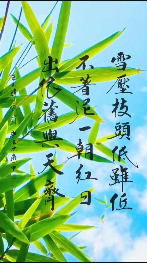 咏竹最好的一首诗