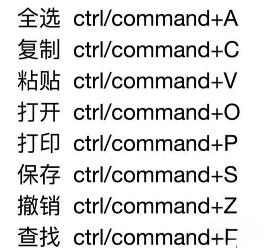 苹果手机怎样设置快捷键