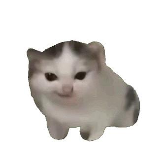 小猫meme消失碎片表情包