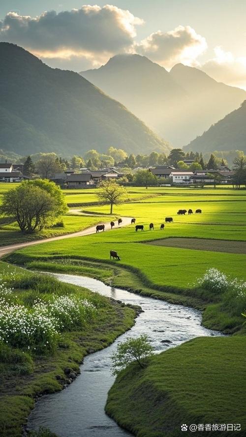 悠闲桃源乡村生活