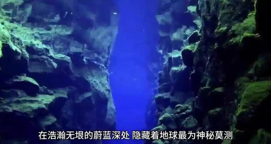 地球大神秘第三季免费播放