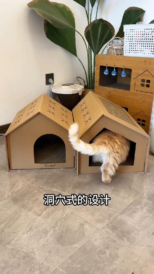 纸箱改造猫窝