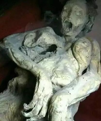白毛僵尸图片