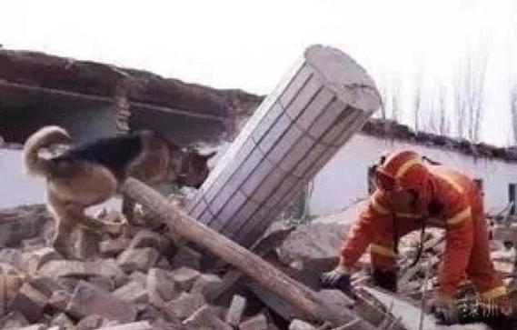 苹果11放视频没有声音怎么回事