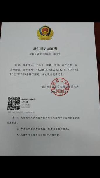 无犯罪记录证明电子版