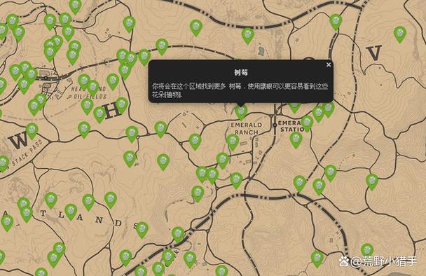 荒野大镖客4种浆果