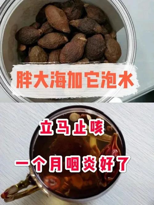 胖大海治疗慢性咽炎有效果吗?