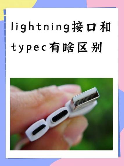 双口typec有什么好处
