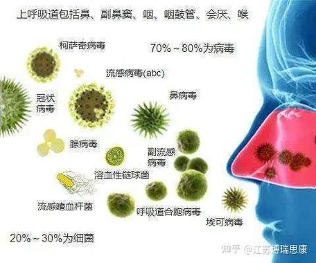 鼻病毒感染的5大表现