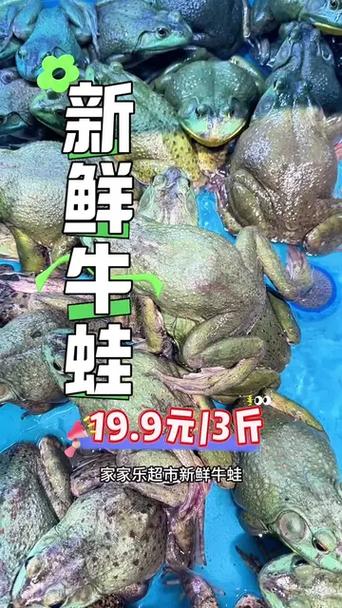 牛蛙好多钱一斤