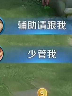 王者荣耀女性辅助英雄