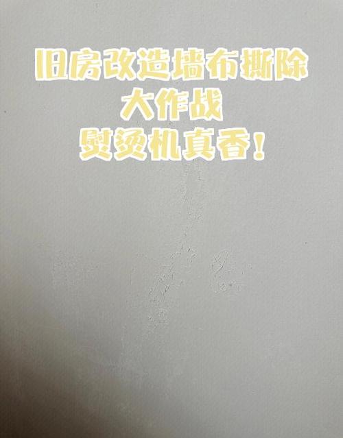 墙布撕了墙面怎么处理
