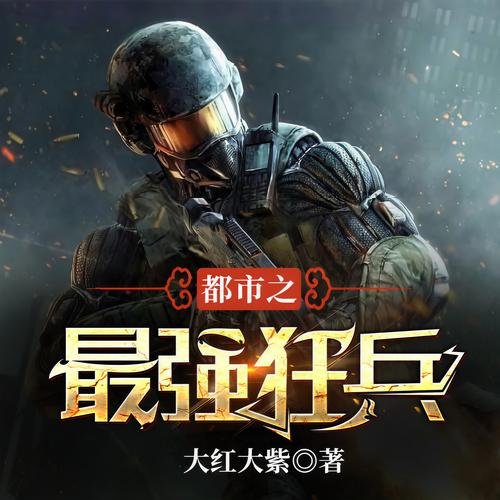 都市狂兵神榜十大高手