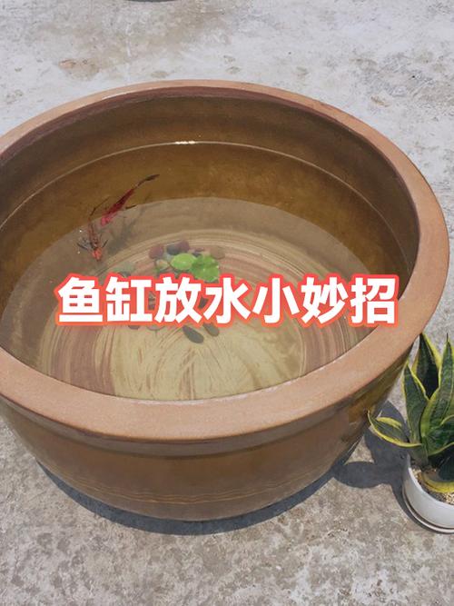鱼缸渗水补漏妙招