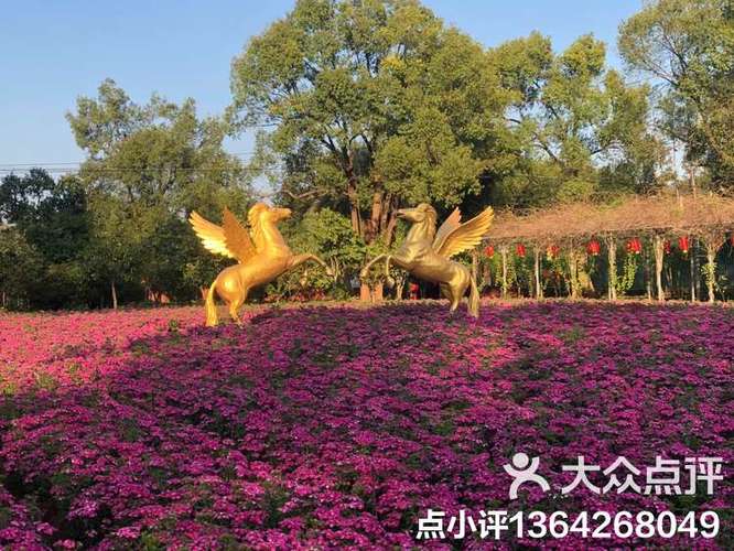 平远曼陀山庄