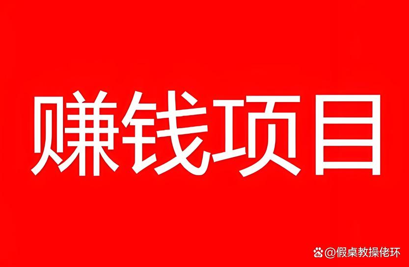 赚钱项目软件