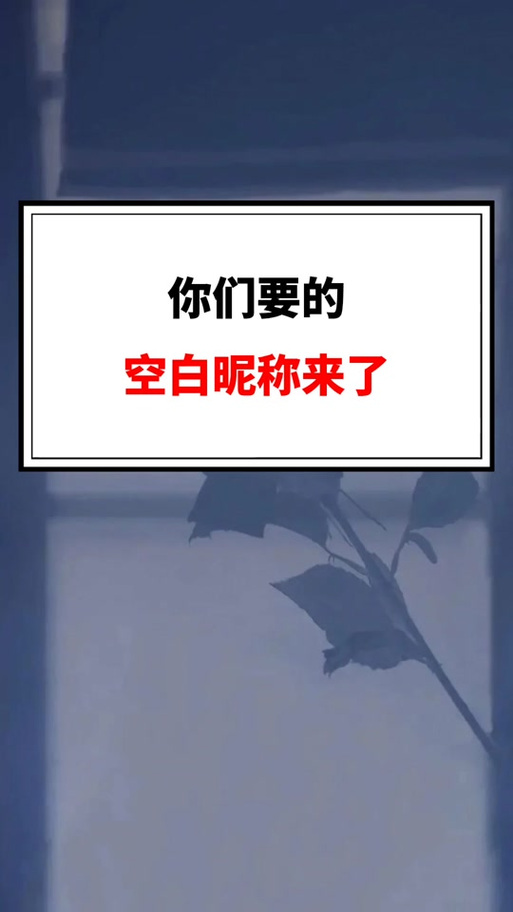 空白网名(ㅤㅤ)